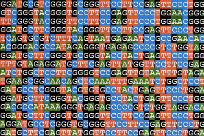 WHOLE GENOME & WHOLE EXOME SEQUENCING (WGS&WES)